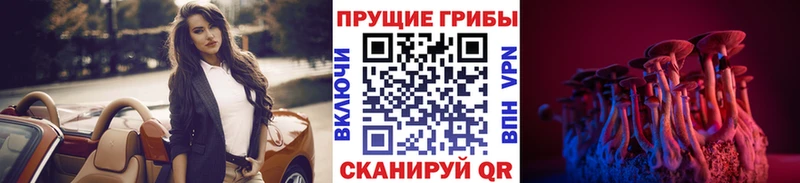 Псилоцибиновые грибы мухоморы  Купить где  Козловка 